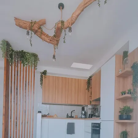 Hébergement de vacances Ninù's Torre di Faro